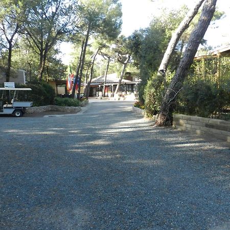 Camping Casa Di Caccia Marina Di Bibbona Exterior foto