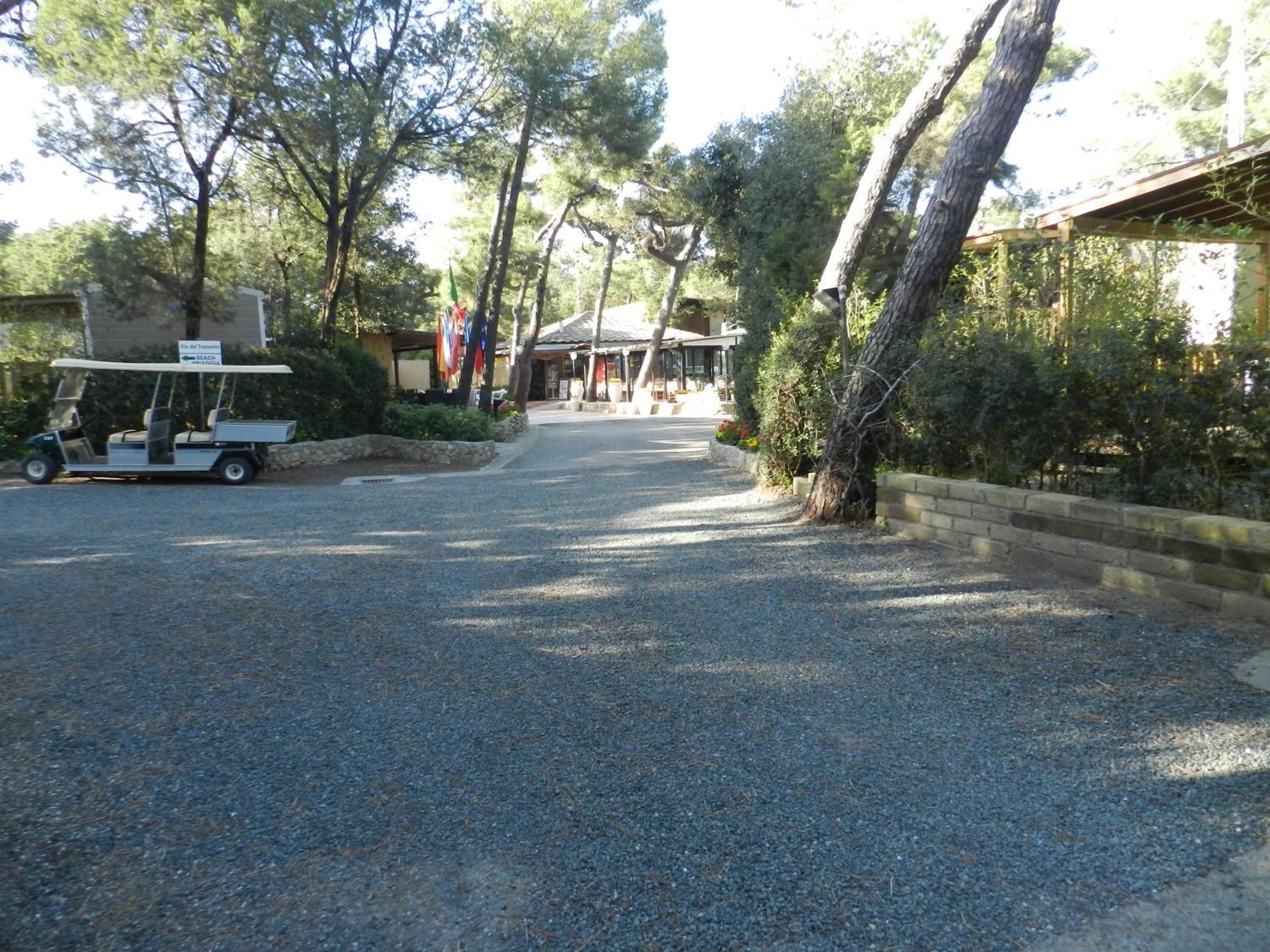 Camping Casa Di Caccia Marina Di Bibbona Exterior foto